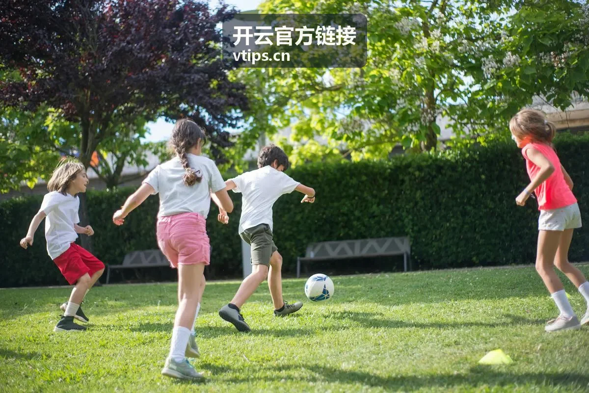开云官方链接资讯导读预览卡片